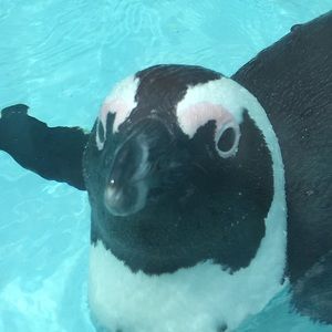 Meet your Posher, Axel